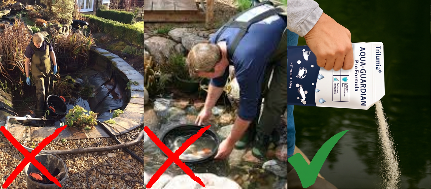 🌈Vitalisys® Aqua-Guardian Pro Formula– End Algae Nightmares, Restore Your Pond’s Beauty Fast!
