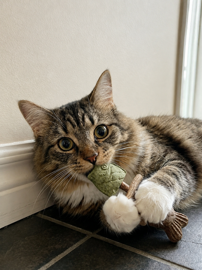 Catnip & Silvervine Chew✅