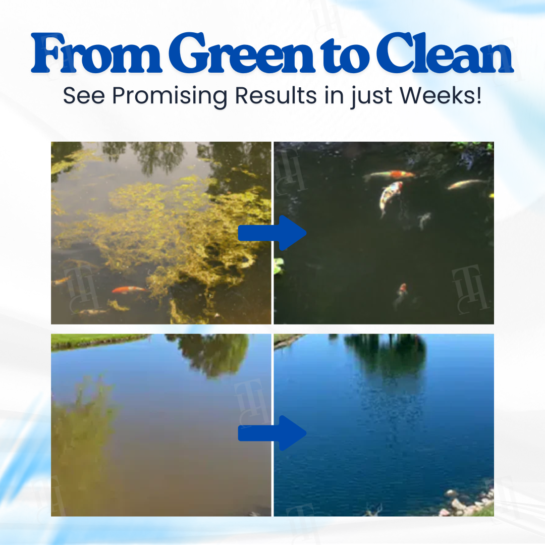 🌈Vitalisys® Aqua-Guardian Pro Formula– End Algae Nightmares, Restore Your Pond’s Beauty Fast!