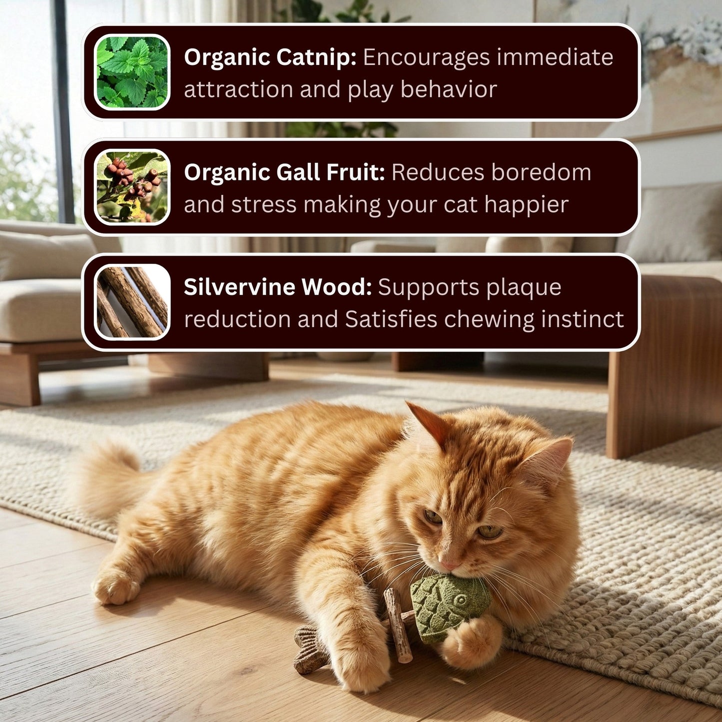 Catnip & Silvervine Chew✅