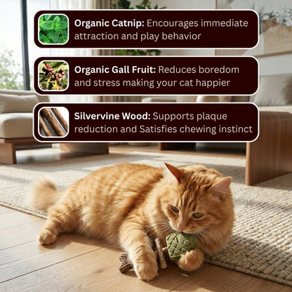 Catnip & Silvervine Chew✅