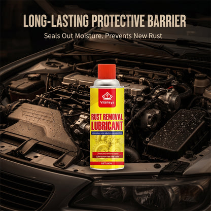 🥇Anti-Rust Lubricant Spray & Rust Remover