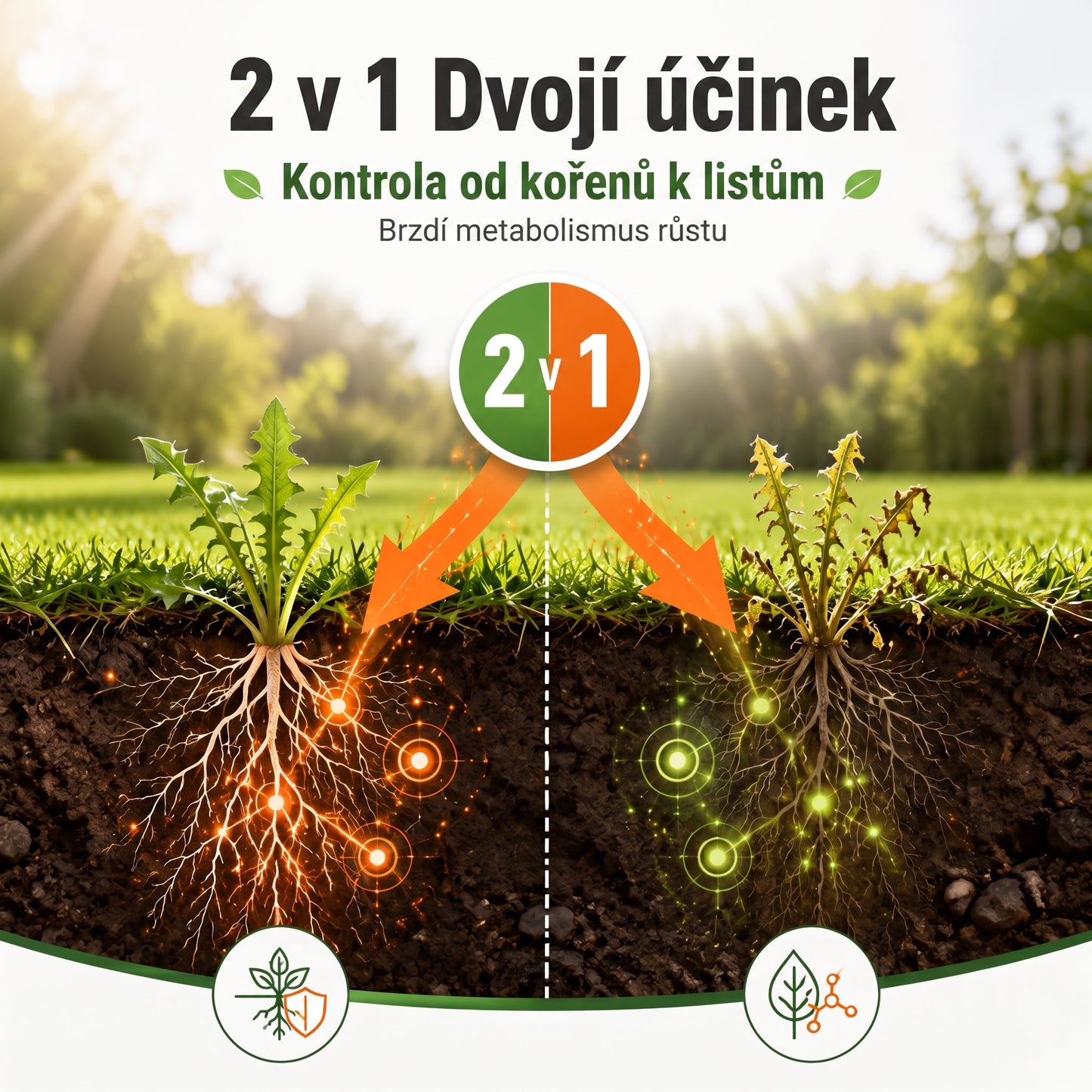 PKNEW® Granulowany środek chwastobójczy 2 w 1 Max Power 👑 – widoczny efekt już po 6 godzinach, łatwe rozpuszczanie w wodzie i precyzyjne stosowanie na fugi, ścieżki, ogrodzenia oraz powierzchnie żwirowe 💎