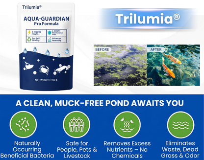 🌈Vitalisys® Aqua-Guardian Pro Formula– End Algae Nightmares, Restore Your Pond’s Beauty Fast!